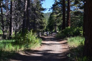 North Canyon Trail