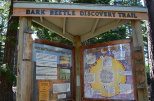Bark Beetle Discovery trail
