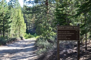 North Canyon trail