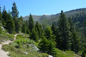 Marlette Trail 