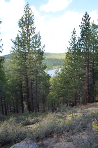 Trail view of Spooner Lake