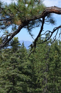 Vista view Lake Tahoe