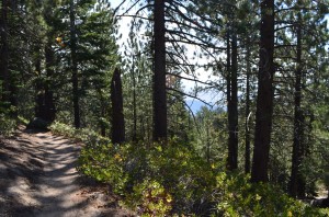 Trail with views of Carson Valley