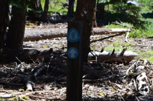 TRTA trail sign