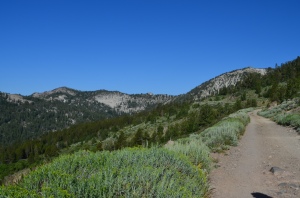 Trail view to Relay Peak