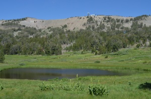 Snow Pond & Relay Peak