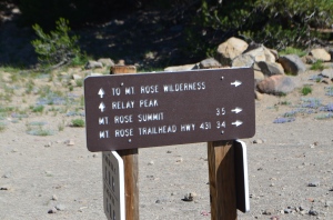 Trail Junction to Mt Rose